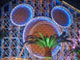Travel and Entertainment