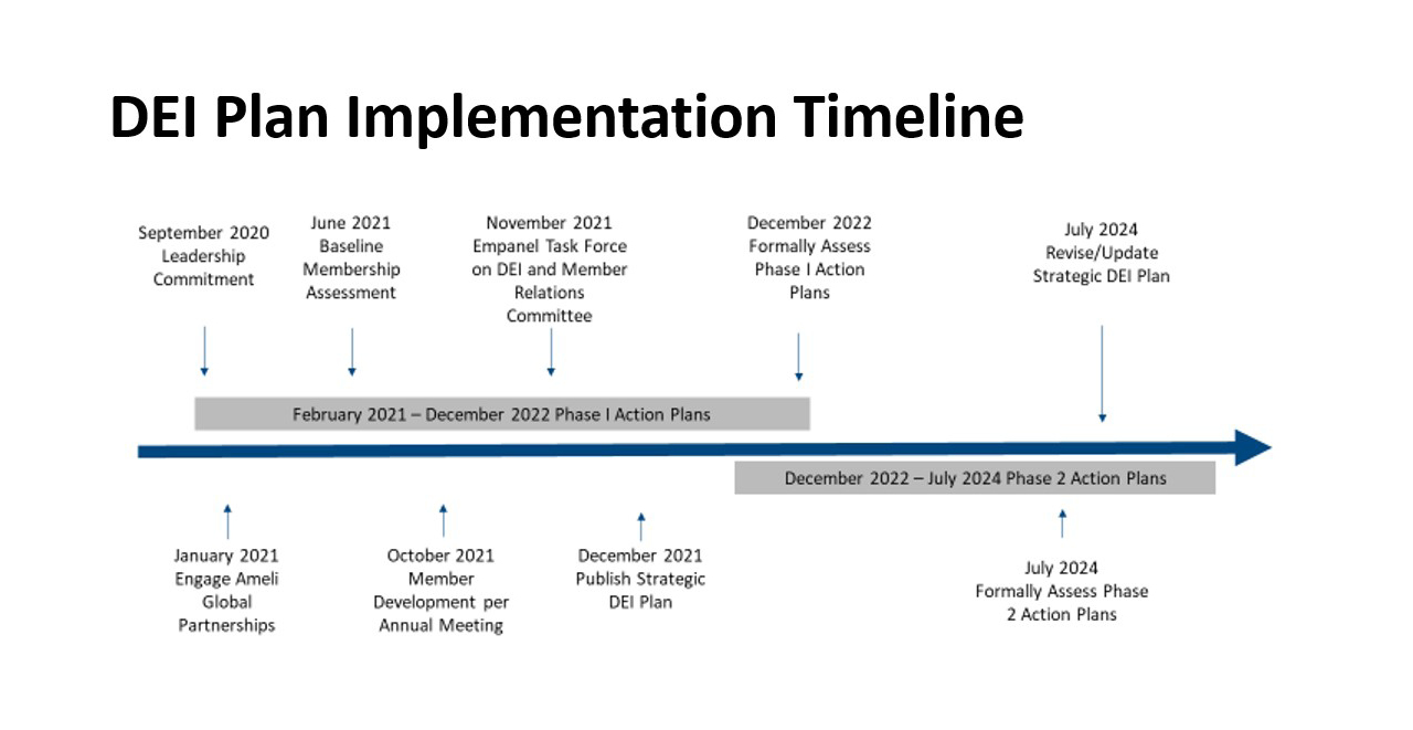 DEI Plan Implementation Timeline