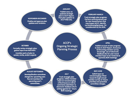 Figure 2. Summary of ACCP’s Strategic Planning Process
